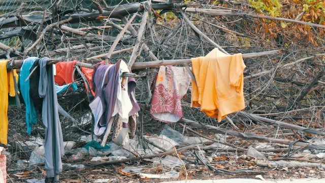 The poor dry things on the branches on trees. Poor homeless people dry their things on the streets of the city