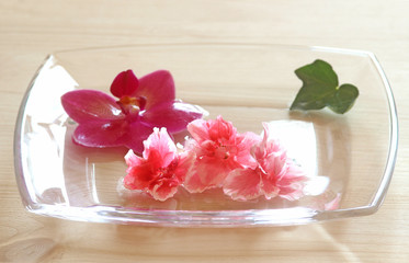 pink blossoms on a glass plate