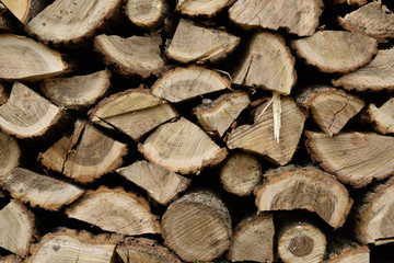 Fototapeta premium A lot of dry chopped firewood is stacked in the period of preparation for the furnace chopped logs for winter fire