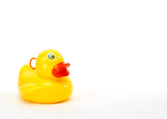 yellow bath duck on white background