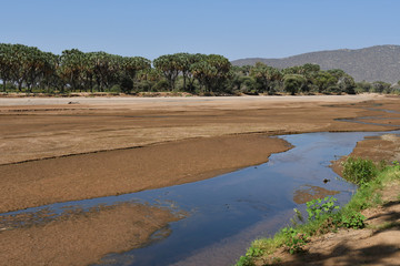 Flussbett in Kenia