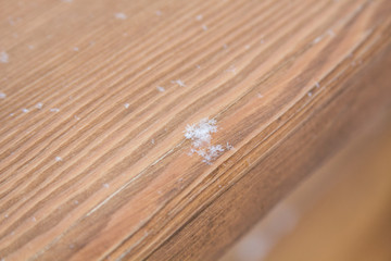 snowflakes close - up on a wooden surface