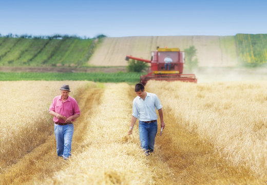 Farmers in wheat field during harvest