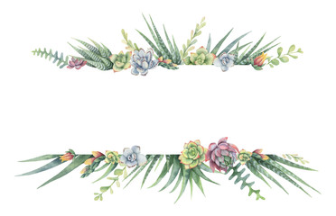 Watercolor vector banner of cacti and succulent plants isolated on white background.