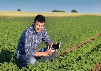 Naklejka na ściany i meble Farmer with tablet in soybean field