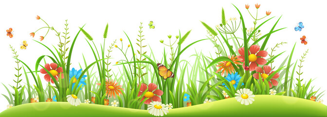 Naklejki  Zielona trawa z wiosennymi kwiatami i motylami na białym tle