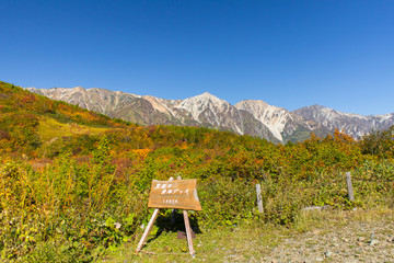 白馬八方尾根の紅葉／長野県白馬村