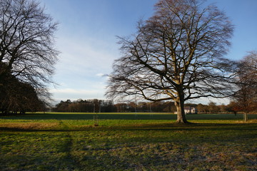 Terrain d'entrainement de rugby