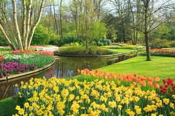 Frühling im Keukenhof in Lisse, Holland
