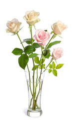 bouquet  of  beauty roses in glass vase isolated on white background