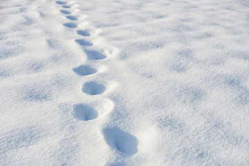 Path in snow after snowfall