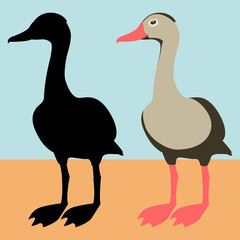 black bellied whistling duck vector illustration flat style   silhouette