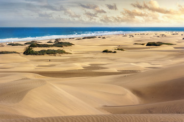 National park of Maspalomas sand dunes. Gran Canaria, Canary islands, Spain