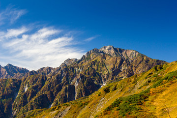 白馬八方尾根の紅葉／白馬五竜岳／長野県白馬村