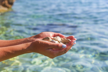 Fototapeta na wymiar Sea pebbles in the hand.