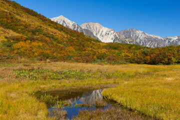 142 190 Bog Wall Murals Canvas Prints Stickers Wallsheaven