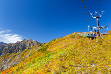 小原の四季桜 紅葉 愛知県豊田市 Wall Mural Wallpaper Murals M Taku