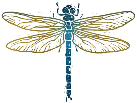 Dragonfly linocut illustration, isolated on white with clipping path