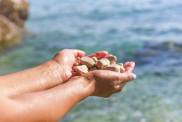 Sea pebbles in the hand.