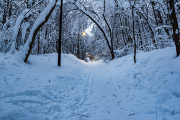 Winter . Vorobyevy Gory Park. Moscow