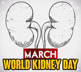 Kidneys in Hand Drawn Design to Commemorate World Kidney Day, Vector Illustration