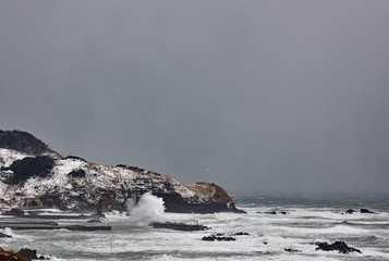 冬の日本海 / 新潟県