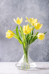 Bouquet of yellow tulips with leaves in glass vase over grey texture background. Still life. Spring greeting card