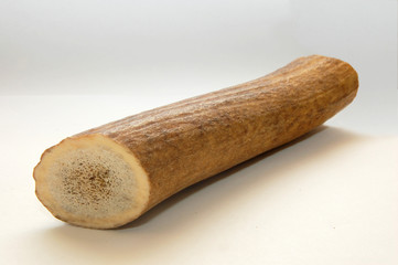 deer horn