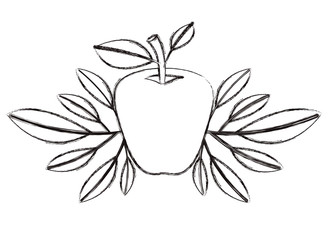 apple fresh fruit with leafs frame vector illustration design