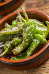 delicious rustic spanish pimientos de padron tapas starter