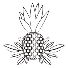 pineapple fresh fruit with leafs frame vector illustration design