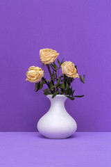 Still life with dried rose in a white vase on a violet background
