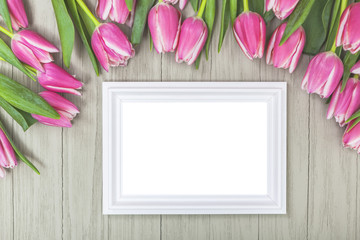 Blank Frame with Copy Space and Fresh Tulips