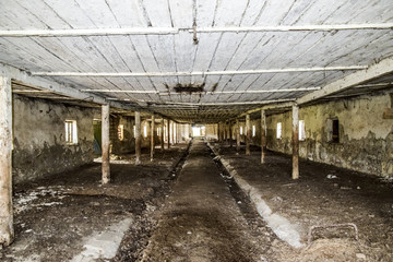 An old abandoned farm for cows. Style Abandoned