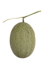 Fresh sweet green melon isolate on white background.