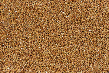 buckwheat groats background