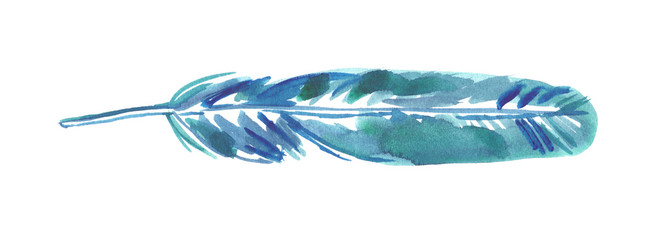 Single long teal blue feather painted in watercolor on clean white background - 193296118