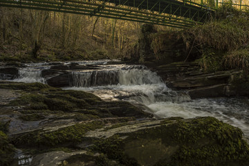 Obraz premium Upper Clydach River Pontardawe, Wales, UK
