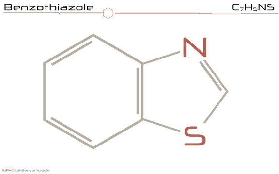 Large and detailed infographic of the molecule of Benzothiazole