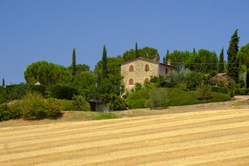 Summer landscape near Perugia