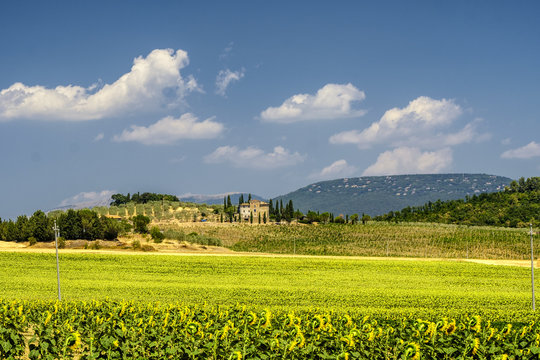 Summer landscape near Perugia