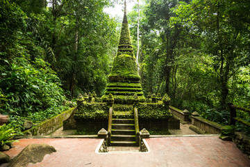 green plant on old thai culture sculpture in forest