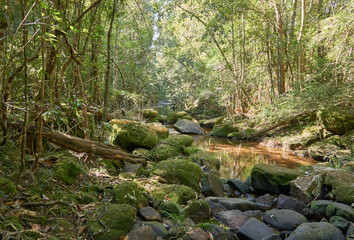 rock over the waterway. Beauty in the nature. Tropical rainforest in Thailand. Waterfall in summer season. Green color in nature.