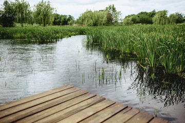 A view of a reed and a blue lake from a bridge