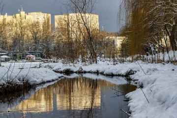 Obraz premium In the winter forest, the winter river runs.
