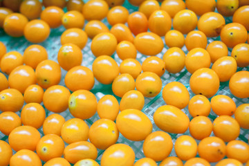 Yellow tomato is a freshy.