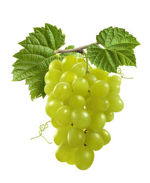 Bunch of green grapes with leaves isolated on white background