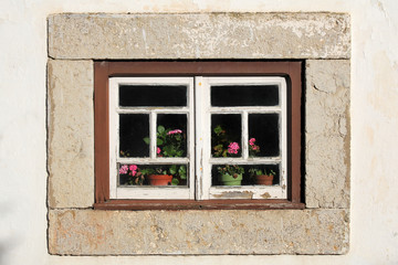 old wooden window decorated with geranium flowers