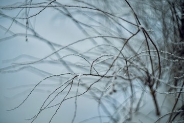 hoarfrost