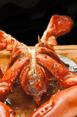 Close up, front view, food, split, steamed, lobster, on a wood cutting board with kitchen shears with black background, clean out thoracic cavity